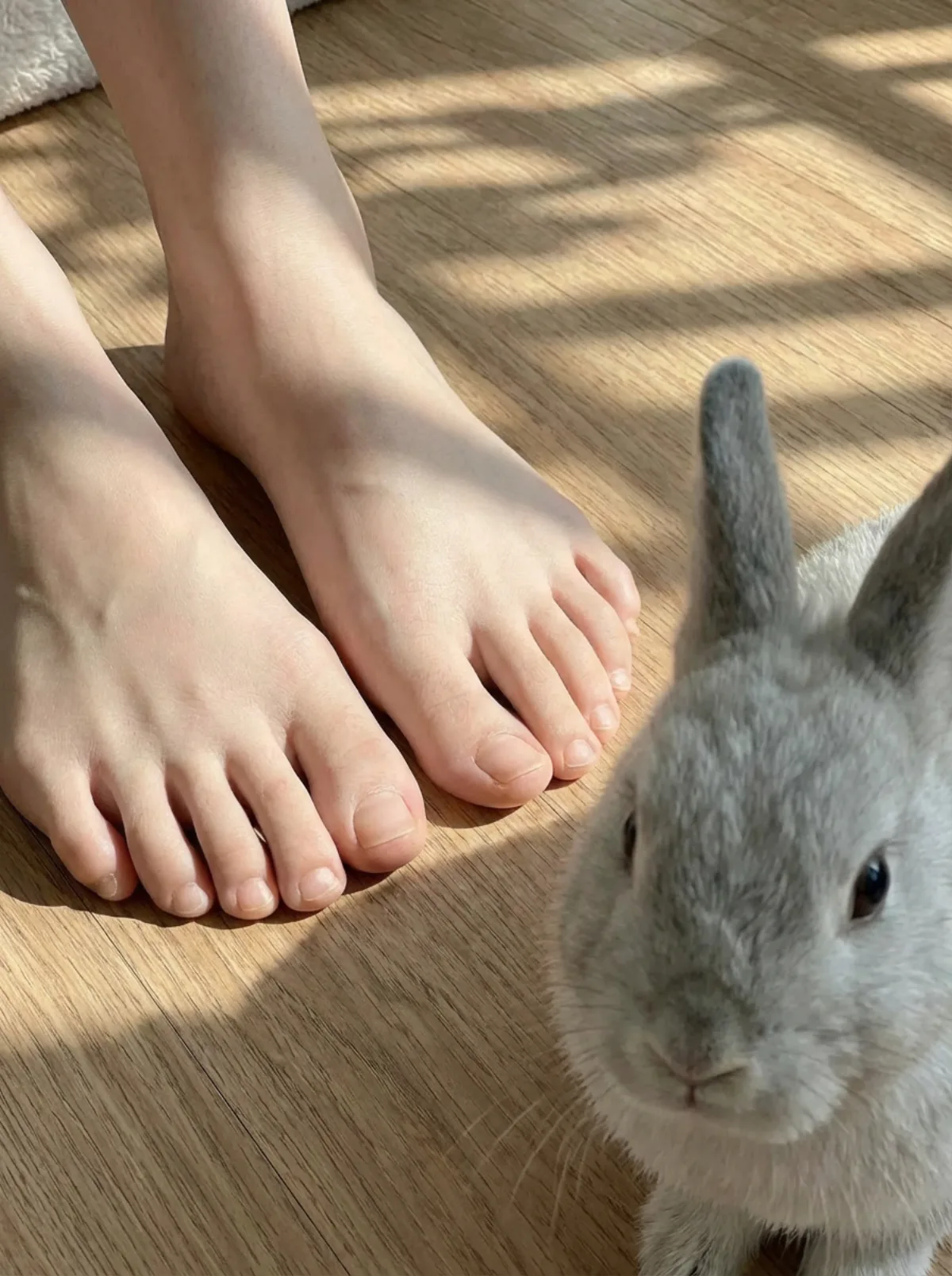 A Curated Zoom in on the toes prompt