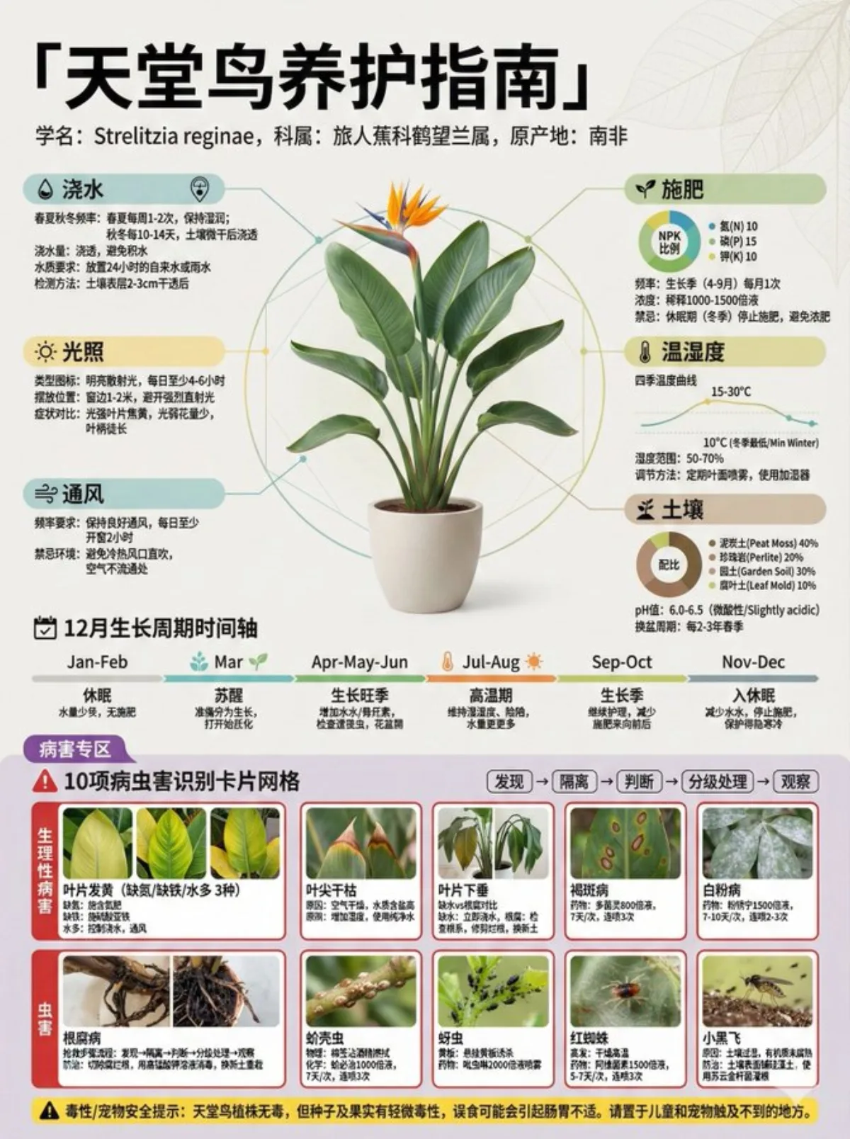 Plant Care Science Exhibition Board