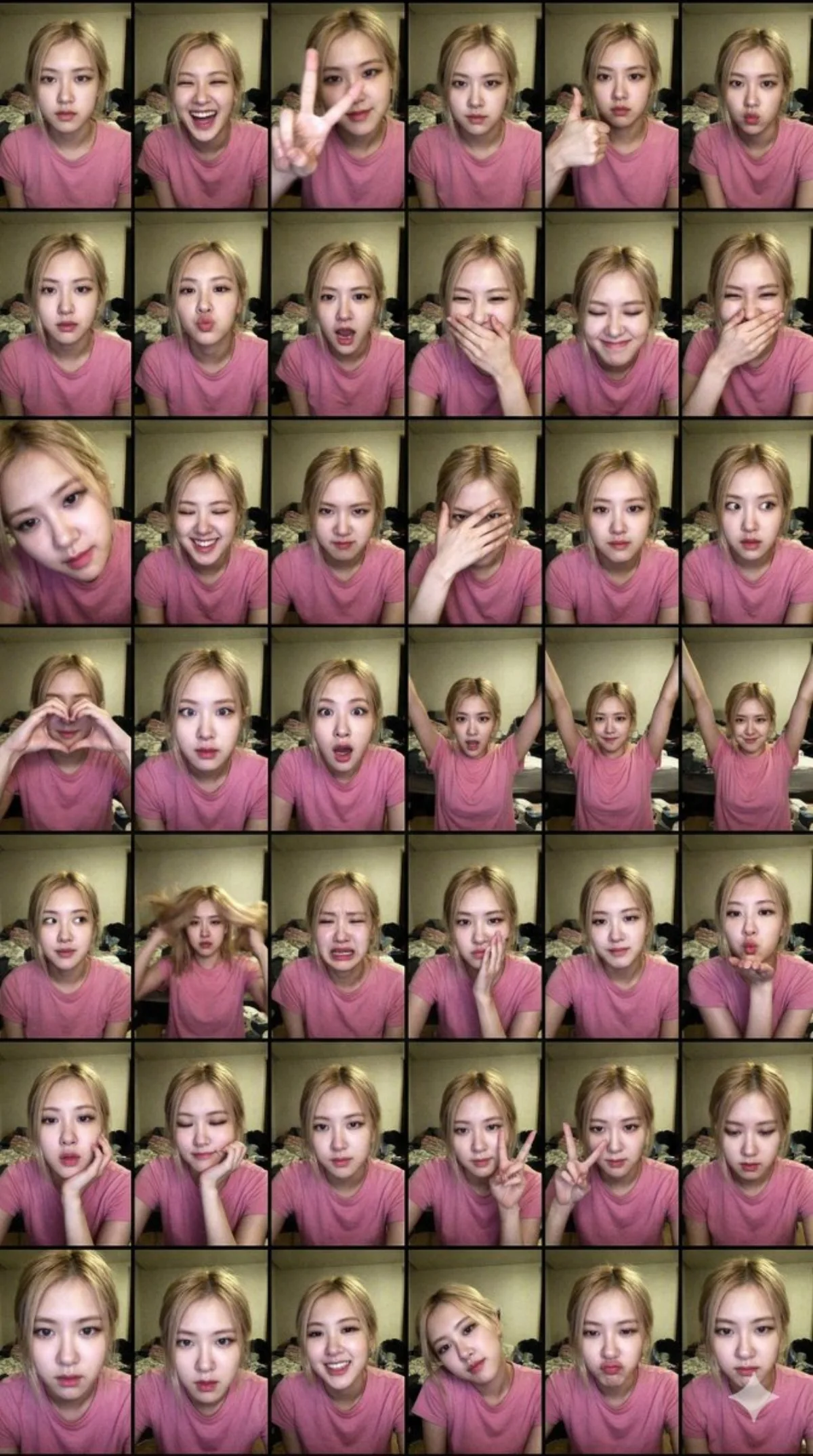 Early 2000s Webcam Contact Sheet of Rosé